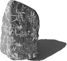 Large grey rock with Chinese-like characters engraved